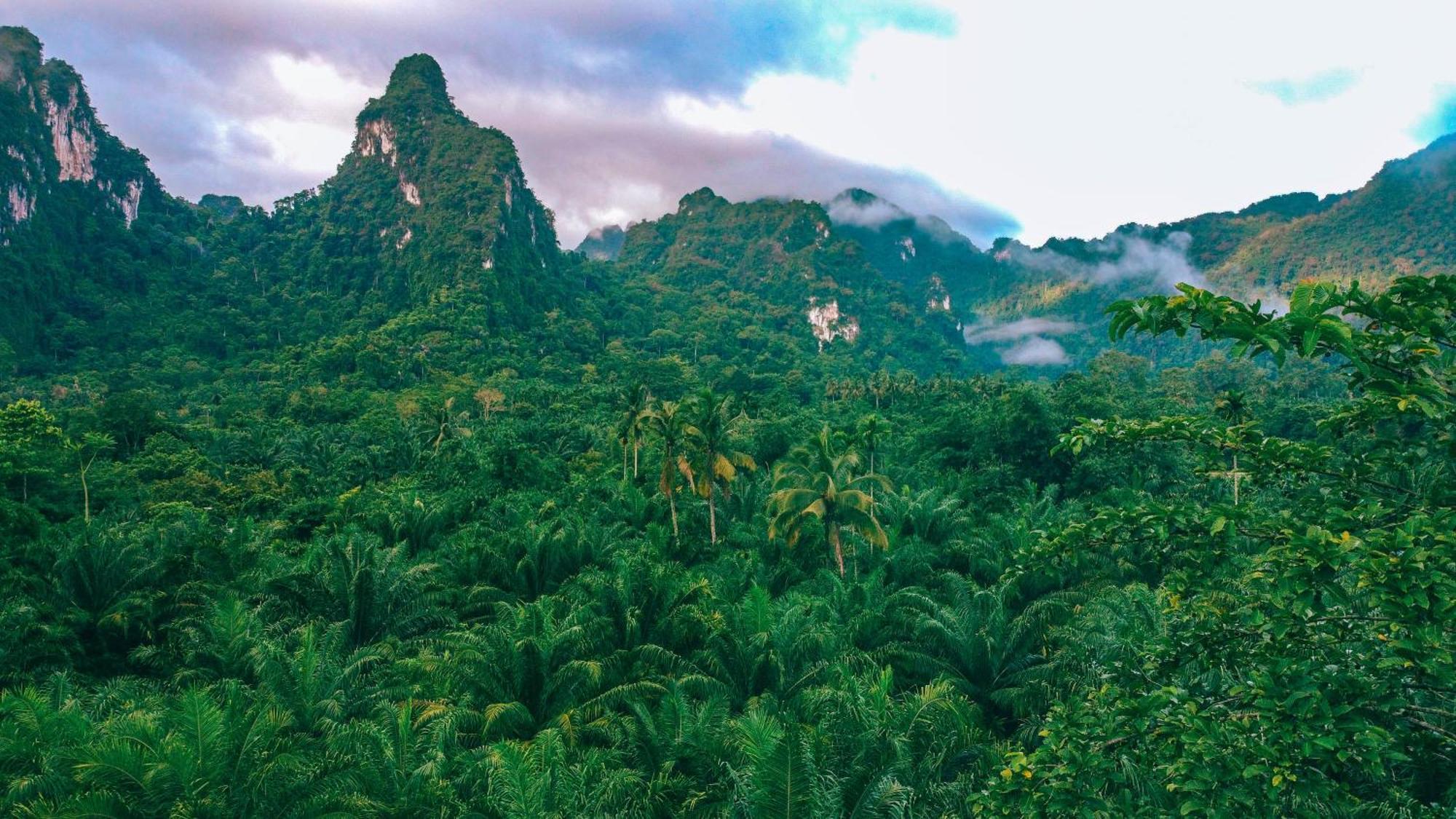 Anurak Community Lodge - Sha Plus Khao Sok National Park Εξωτερικό φωτογραφία