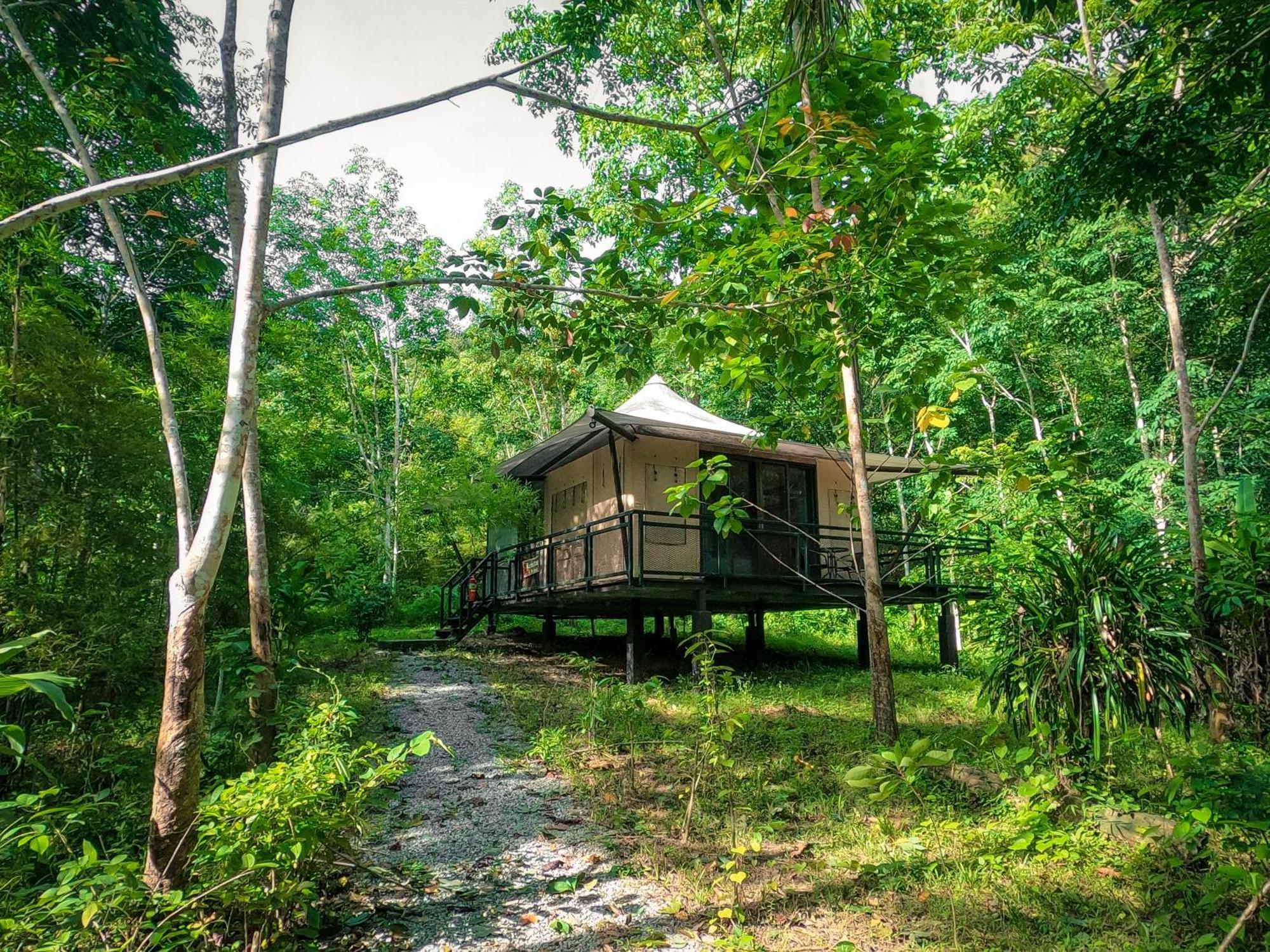 Anurak Community Lodge - Sha Plus Khao Sok National Park Εξωτερικό φωτογραφία