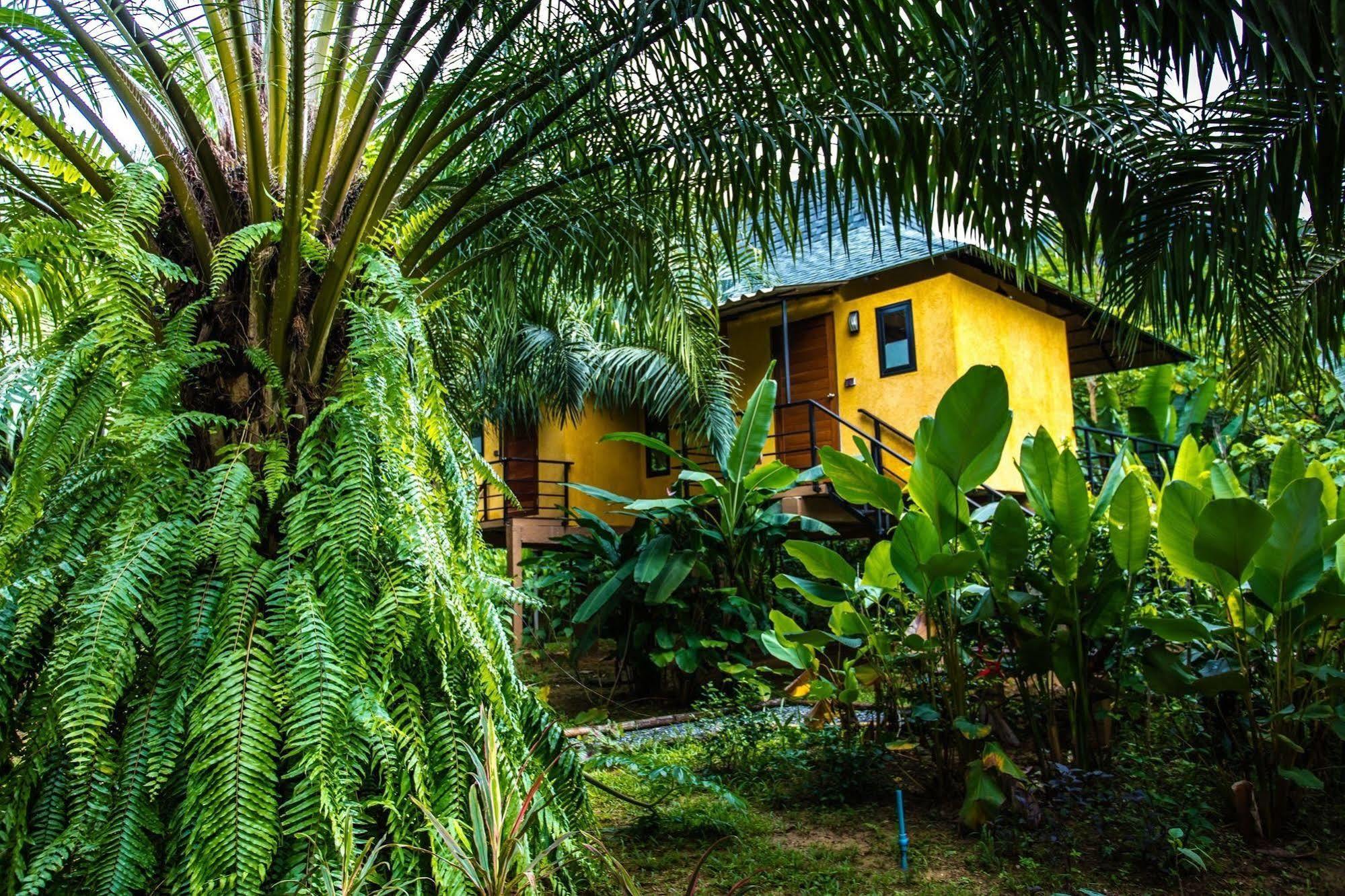 Anurak Community Lodge - Sha Plus Khao Sok National Park Εξωτερικό φωτογραφία