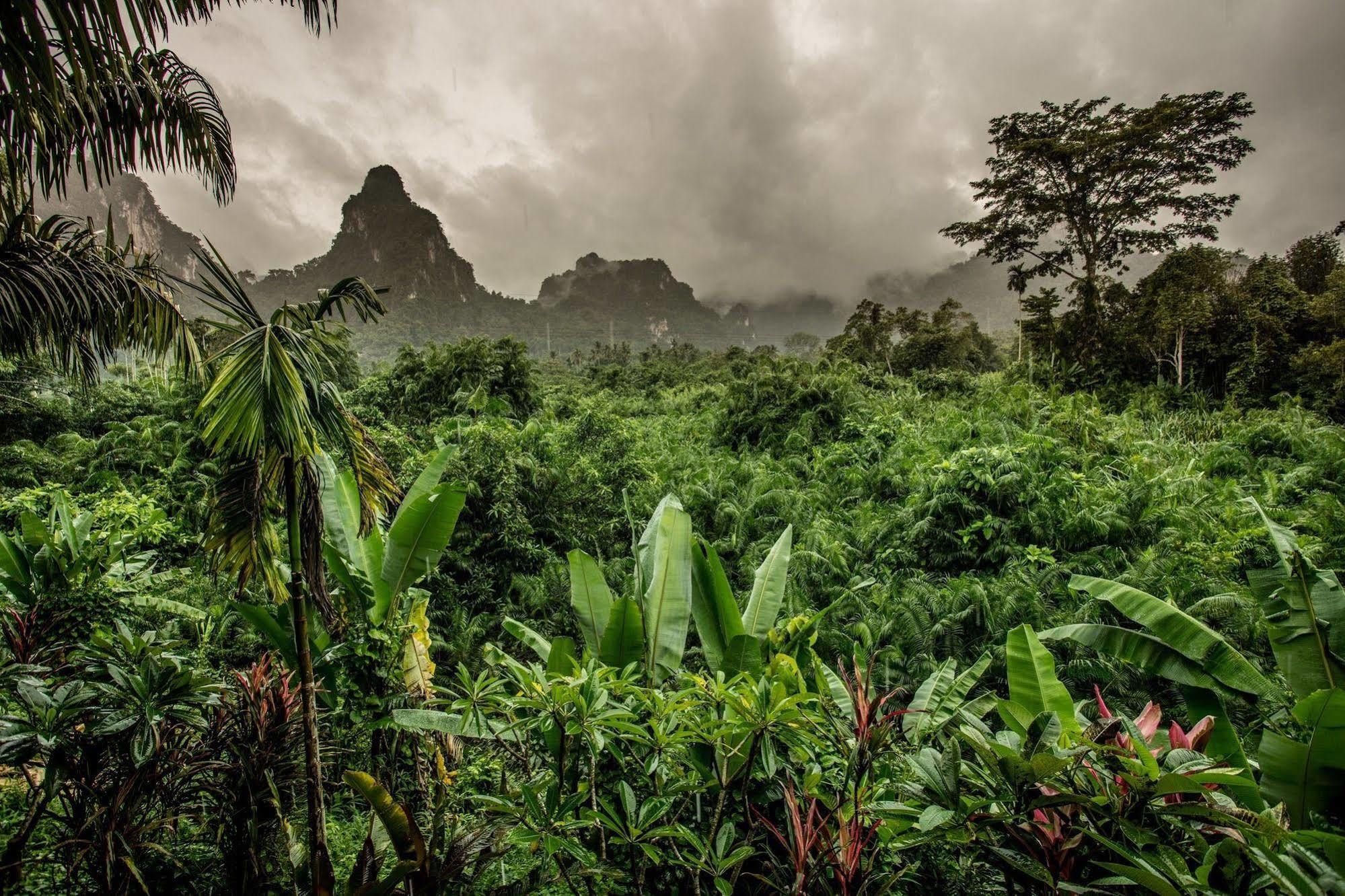 Anurak Community Lodge - Sha Plus Khao Sok National Park Εξωτερικό φωτογραφία