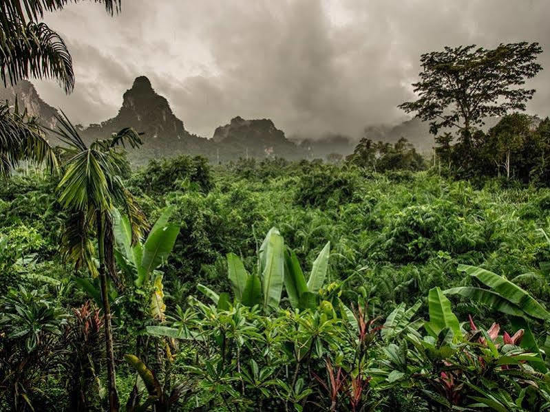 Anurak Community Lodge - Sha Plus Khao Sok National Park Εξωτερικό φωτογραφία